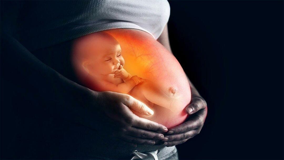 Kako dojenčki med nosečnostjo dobijo hranila od matere? Kako hraniti otroka v maternici od matere