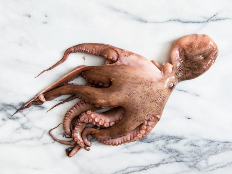 Kako očistiti in kuhati hobotnice doma? Najlažja tehnika kuhanja hobotnice