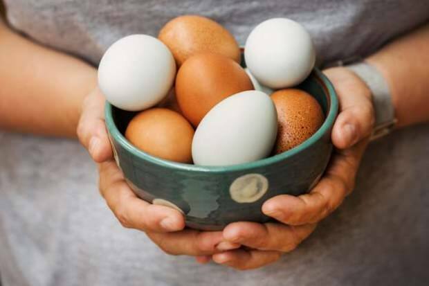 Kako poteka analiza organskega jajca?