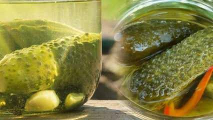 Kako pripraviti sok kislih kumaric polne velikosti? Najlažji vodnik za pripravo soka iz kislih kumaric
