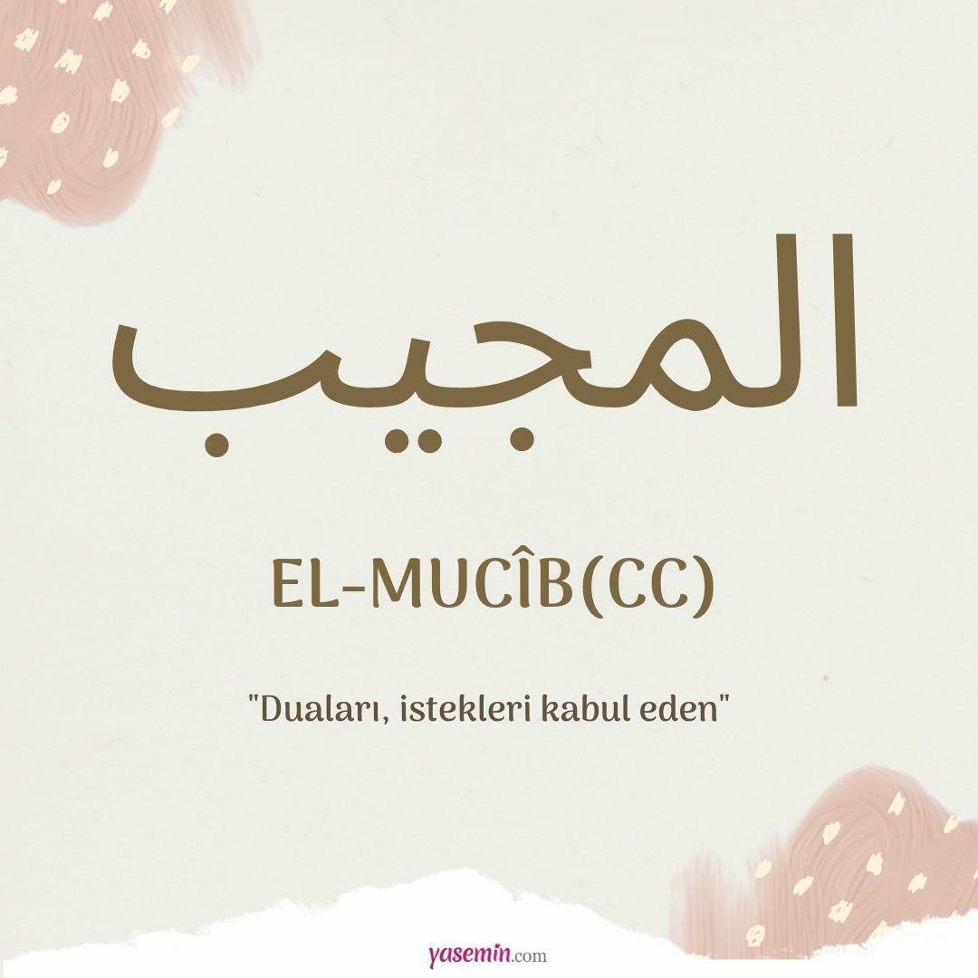 Kaj pomeni al-Mujib (cc)?