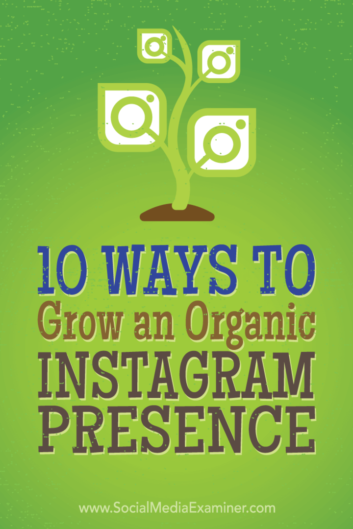 10 načinov za rast organske prisotnosti v Instagramu: Izpraševalec socialnih medijev