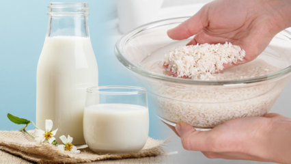 Kako pripraviti riževo mleko, ki gori maščobe? Metoda hujšanja z riževim mlekom