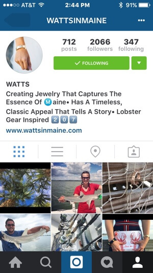 primer blagovne znamke profila instagram