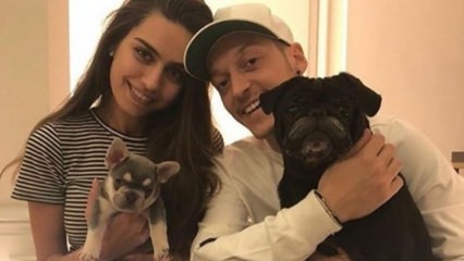 Mesut Özil praznuje rojstni dan svoje zaročenke Amine Gülşe