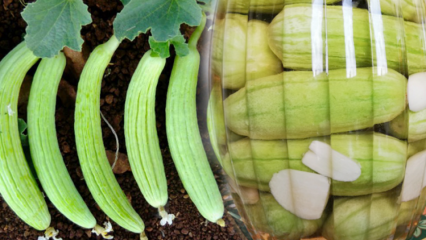 Kako narediti vložene kumarice doma? Triki izdelave kislih kumaric