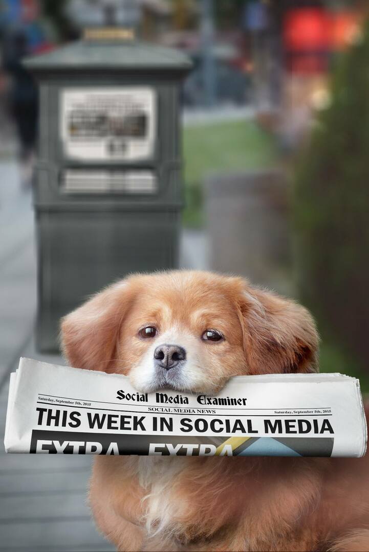 Meerkat predstavlja Hashtags v živo: Ta teden v družabnih medijih: Social Media Examiner