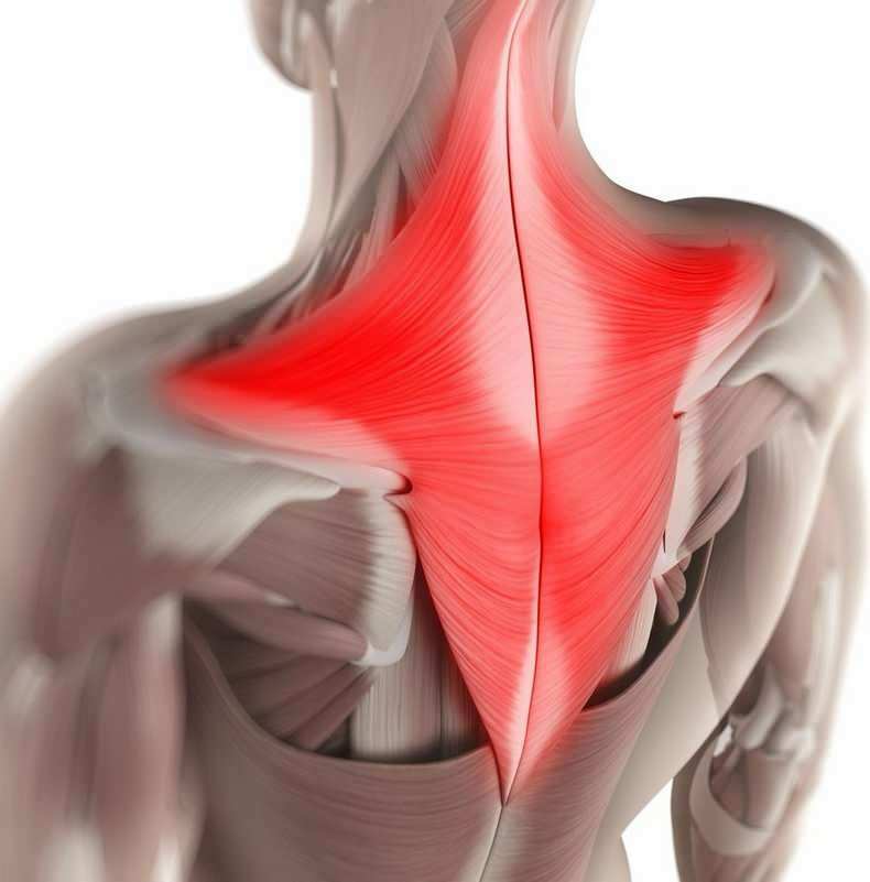 Čez dan se nezavedno lahko mišice v predelu vratu vlečejo v napačne sedeče položaje. 