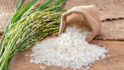 Kaj je riž Baldo? Katere so značilnosti riža Baldo? 2020 cene baldo riža