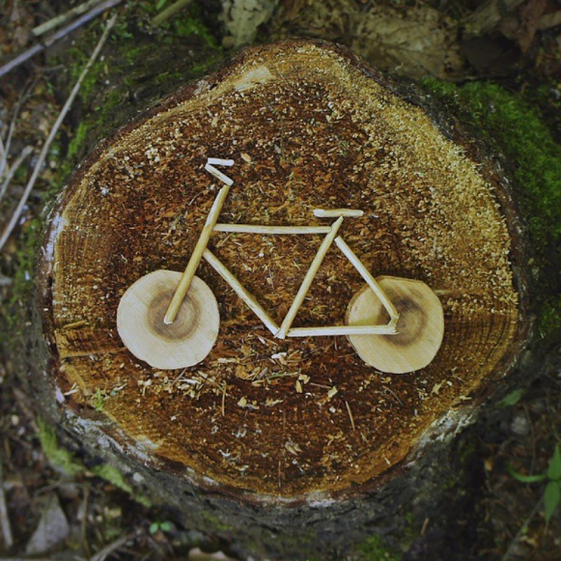 Dizajn koles na lesu