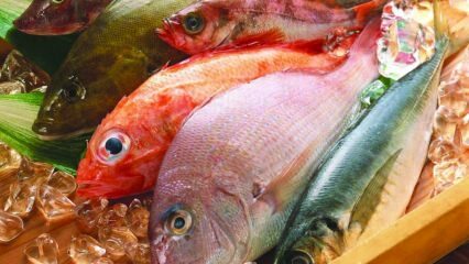 Kakšne so prednosti rib? Kako zaužiti najbolj zdrave ribe?