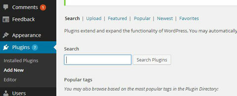 google tag plugin manager