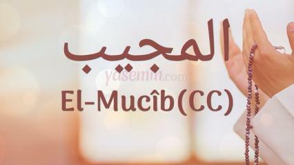 Kaj pomeni al-Mujib (c.c)? Kakšne so vrline imena Al-Mujib? Esmaul Husna Al-Mujib...