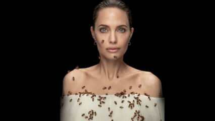 Angelina Jolie v objektivu s čebelami za čebele!