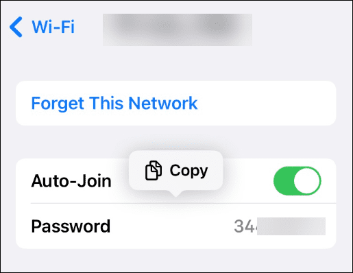 Oglejte si shranjena gesla za omrežje Wi-Fi v napravi iPhone