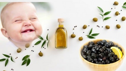 Izdelava oljk z malo soli za dojenčke! V katerem mesecu je treba dati oljke dojenčkom?