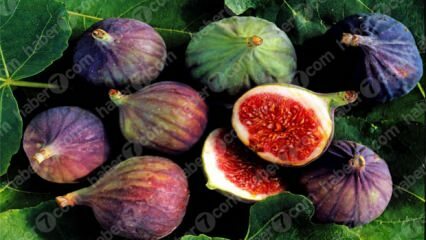 Kakšne so prednosti figov? Čudežne koristi suhih in mokrih fig ...
