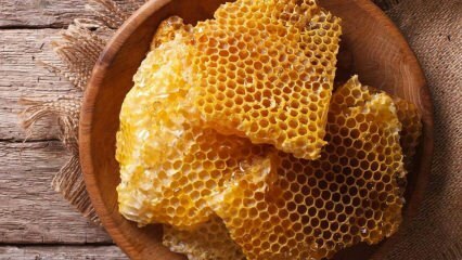Kakšne so prednosti medu? Kaj je nora zastrupitev z medom? Koliko vrst medu obstaja? 
