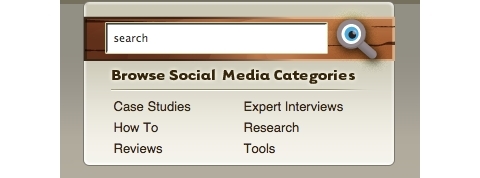 kategorije izpraševalcev za družbene medije 2009