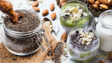 Kako oslabiti s chia semeni? Praktični recepti za hujšanje, narejeni s chia semeni