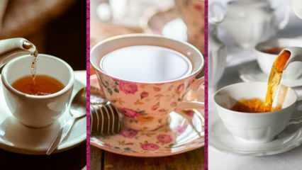 Kateri so najboljši modeli čajnih skodelic Evidea? 2022 Najboljši modeli skodelic za čaj in cene