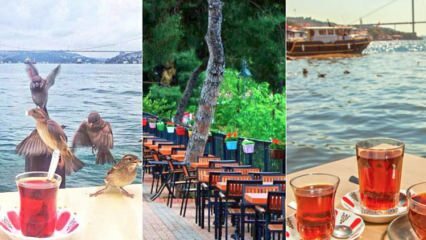 Družinski čajni vrtovi na Anatolijski strani Istanbula