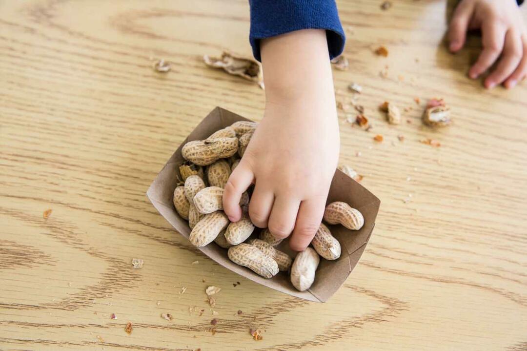 Uživanje oreščkov pri otrocih