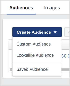 Na strani Facebook Audiences ustvarite možnosti spustnega menija Audience