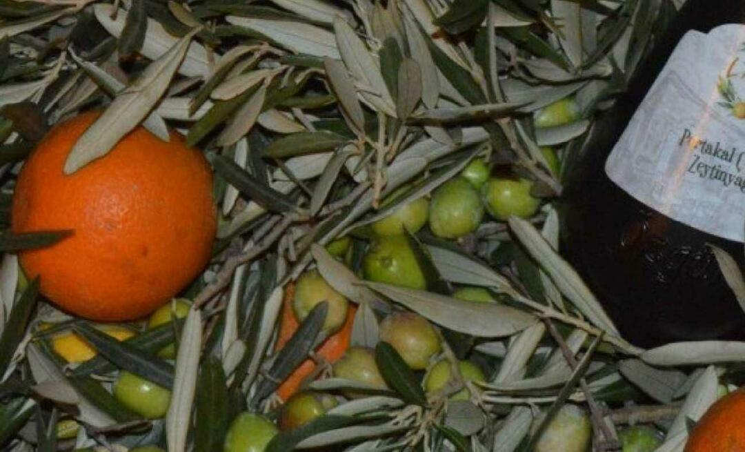 Podjetnice iz Balıkesirja pridelale pomarančno oljčno olje!