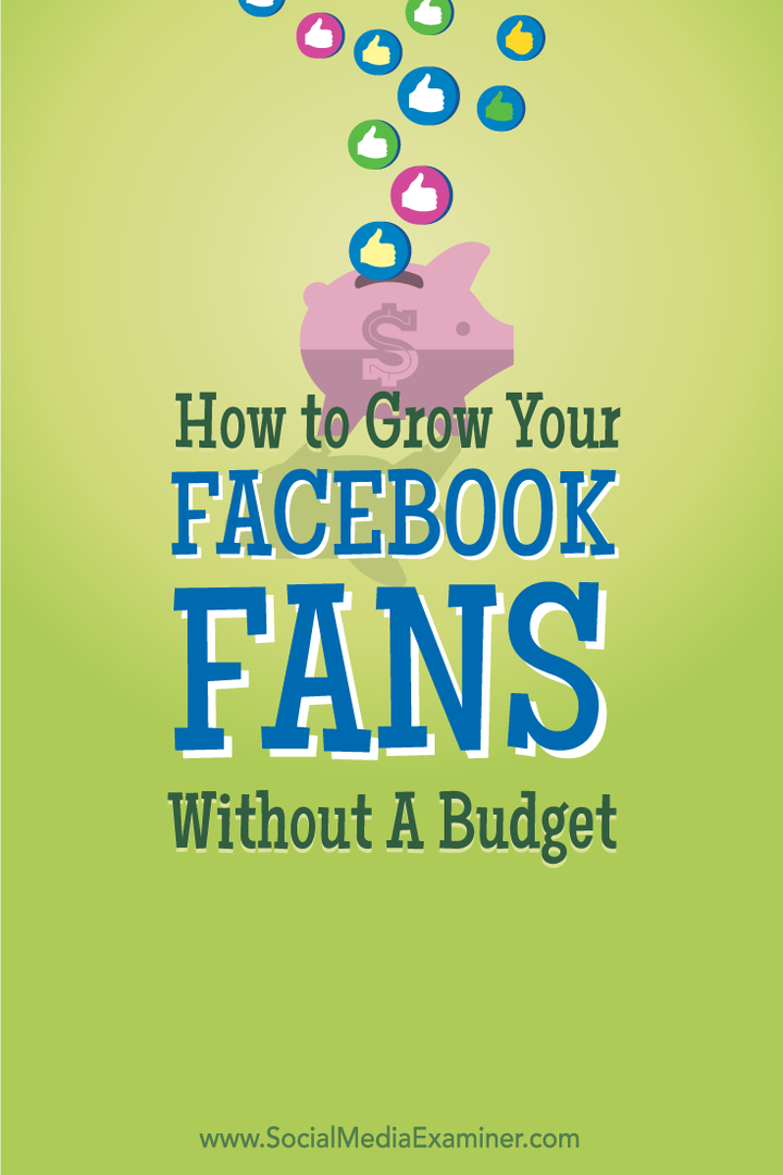 Kako povečati oboževalce Facebooka brez proračuna: Izpraševalec socialnih medijev
