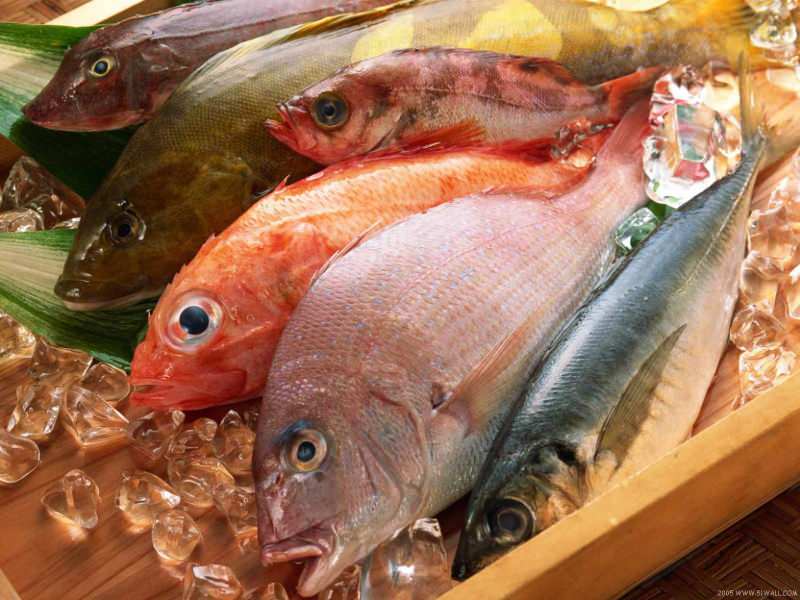 Nasveti za izbiro svežih rib žirije Masterchefa Mehmet Chef