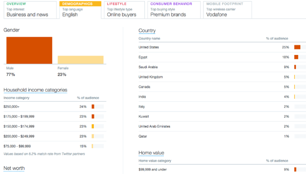 vzorec informacij o demografskem zavihku občinstva na twitterju