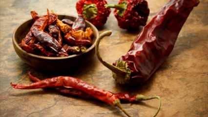 Kako posušiti papriko? Metode sušenja paprike doma