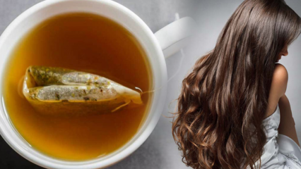 Kakšne so prednosti zelenega čaja za lase? Recept za masko iz zelenega čaja