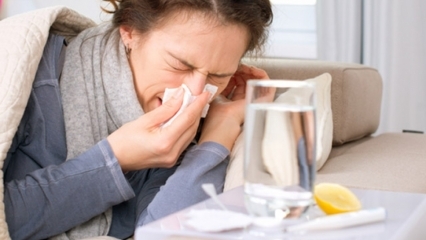 Katera so živila, ki so dobra za prehlad in gripo? 5 živil, ki preprečujejo gripo ...