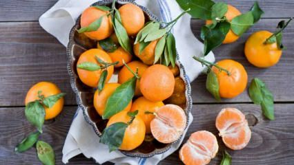 Kakšne so prednosti mandarine? Kaj se zgodi, če mandarine jeste teden dni?