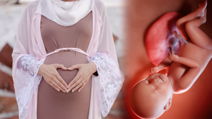Molitve in esmaül Hüsna dhikrs, ki jih je treba brati, da bo otrok med nosečnostjo zdrav