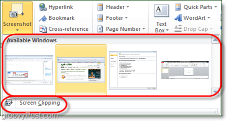 Orodje za posnetke zaslona ima v programu Office 2010 dve možnosti