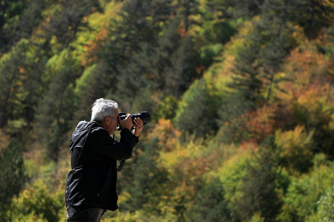 Gora Ilgaz: Tu so vse barve jeseni