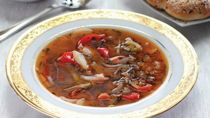 Recept za juho iz pehtragovega zelišča