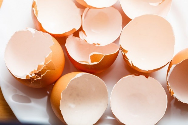 zdravljenje kariesa z jajčno lupino
