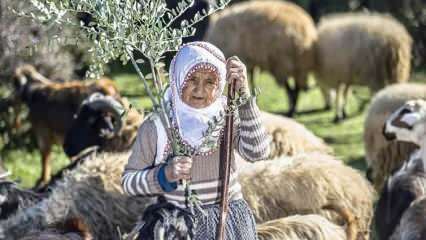 Teta Fatma je že pol stoletja pastir v vznožju gorovja Amanos!