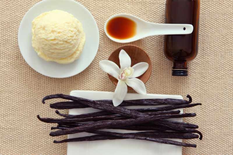 Kaj je sladkorni vanilin? Sta Vanilla in Vanilin isto? Izdelava vanilije s sladkorjem
