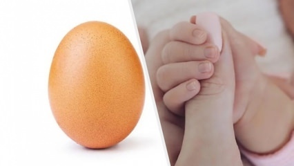 Rekordno jajce z 28 milijoni všečkov