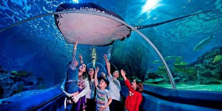  Prizori iz istanbulskega akvarija Sea Life