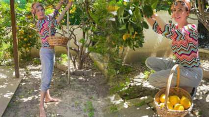 Pevka Tuğba Özerk je na svojem vrtu nabrala limono z drevesa!