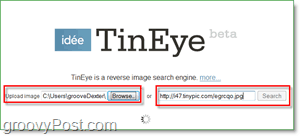 Posnetek zaslona TinEye - poiščite svojo sliko za podvojene in večje različice