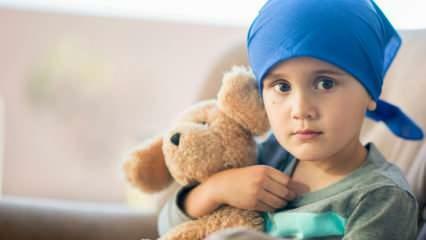 Kaj je krvni rak (levkemija)? Simptomi in zdravljenje levkemije pri otrocih