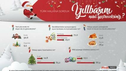 Raziskava Areda je razpravljala o novoletnih željah Turkov! Piščančje meso je v novem letu puranje ...