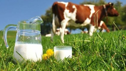 Kaj je alergija na mleko? Kdaj preide alergija na mleko pri dojenčkih? Alergija na kravje mleko ...